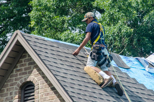 Roof Gutter Cleaning in Woodland Hills, UT